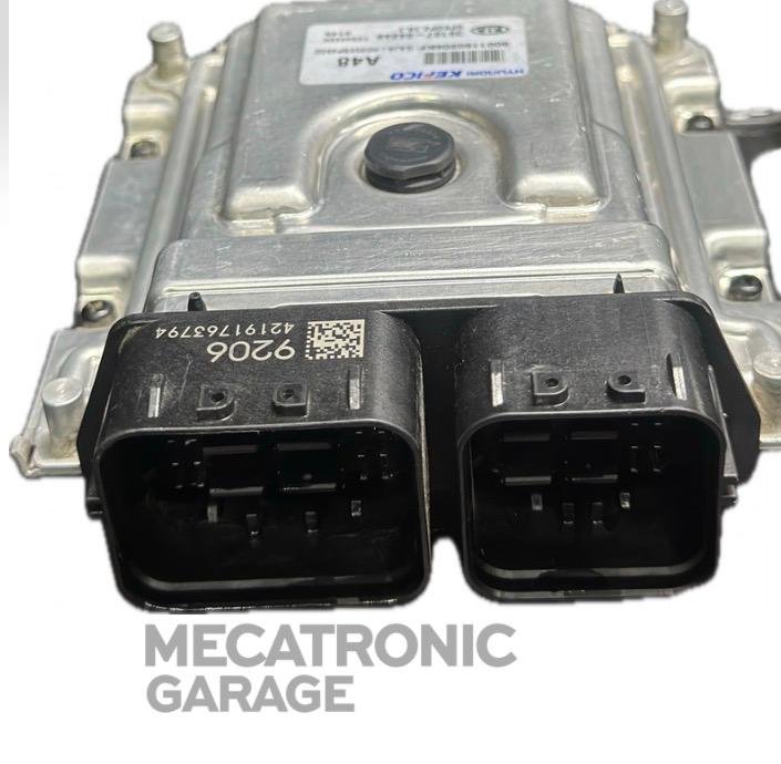 ECU Kia Picanto 39107-04248 - conectores de la unidad